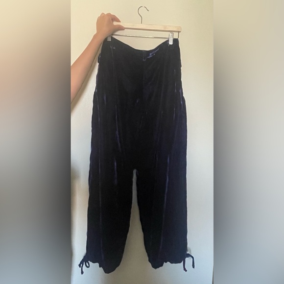 Free People Lotus Velvet Pants - Picture 3 of 4